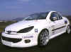 206CC_racing_series_1.jpg (8334 octets)