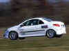 206CC_racing_series_3.jpg (6308 octets)