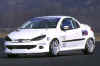 206CC_racing_series_4.jpg (7336 octets)